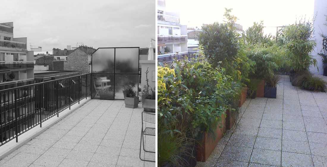 Avant - Après : Rénovation d'une terrasse par un jardinier paysagiste
