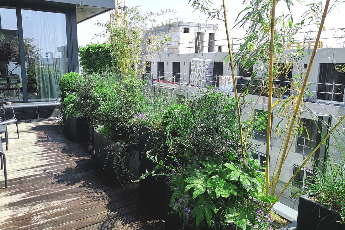Terrasse aménagée par un jardinier-paysagiste