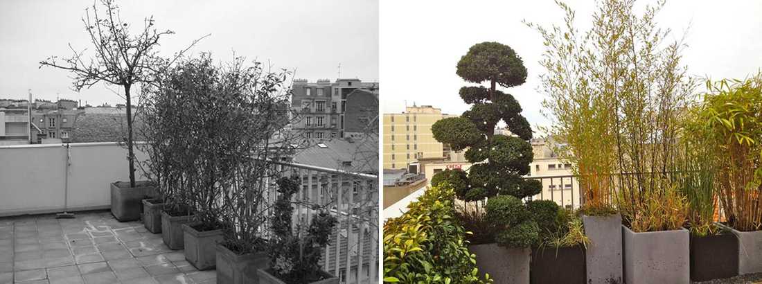 Avant - Après : Aménagement paysagé d'une terrasse avec vue à Aix-en-Provence