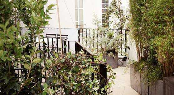 Photos avant - aprés de l'aménagement d'une terrasse à Aix-en-Provence par un jardinier paysagiste