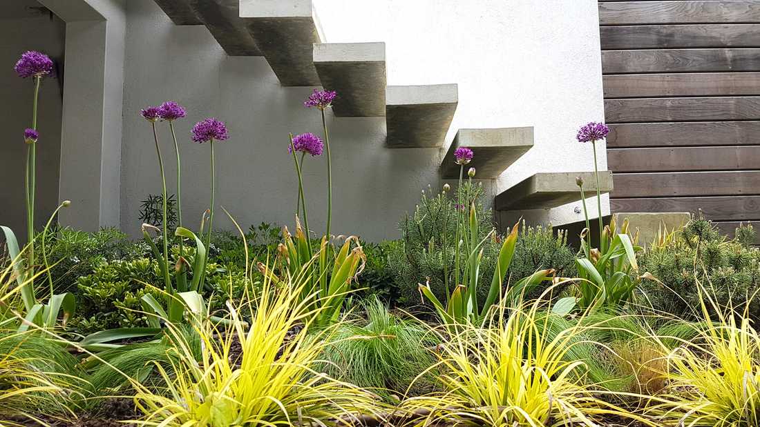 Escalier à marchers flottantes dans un jardin contemporain