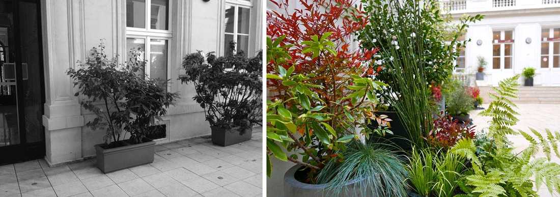 Un jardinier paysagiste aménage la cour intérieure d'un hôtel particulier à Aix-en-Provence