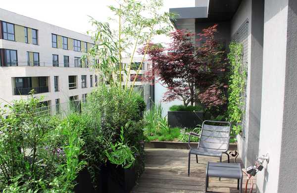 Aménagement paysager de la terrasse d'un penthouse à Aix-en-Provence.