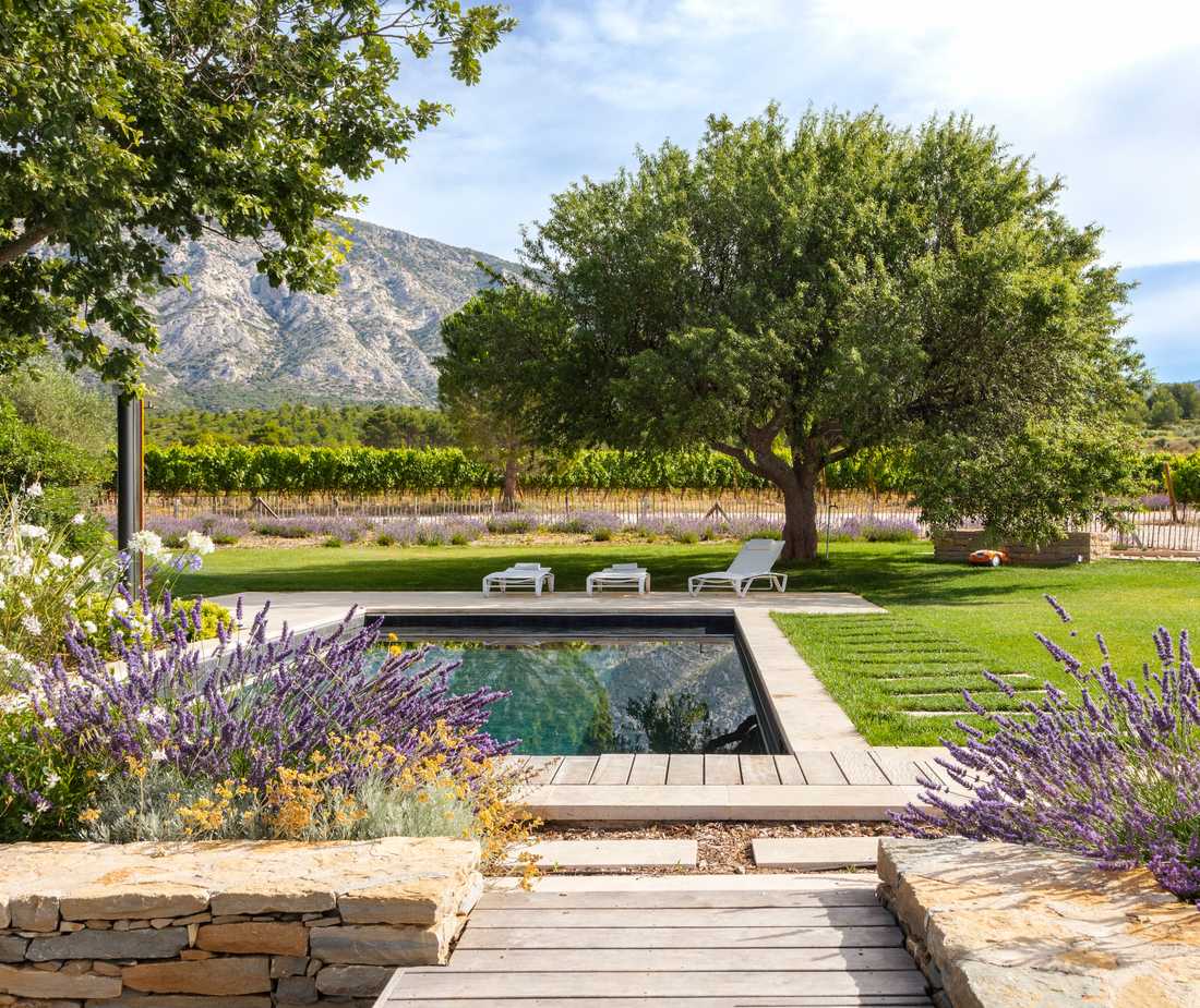 Landscape architect designing a Provençal farmhouse garden in the Luberon