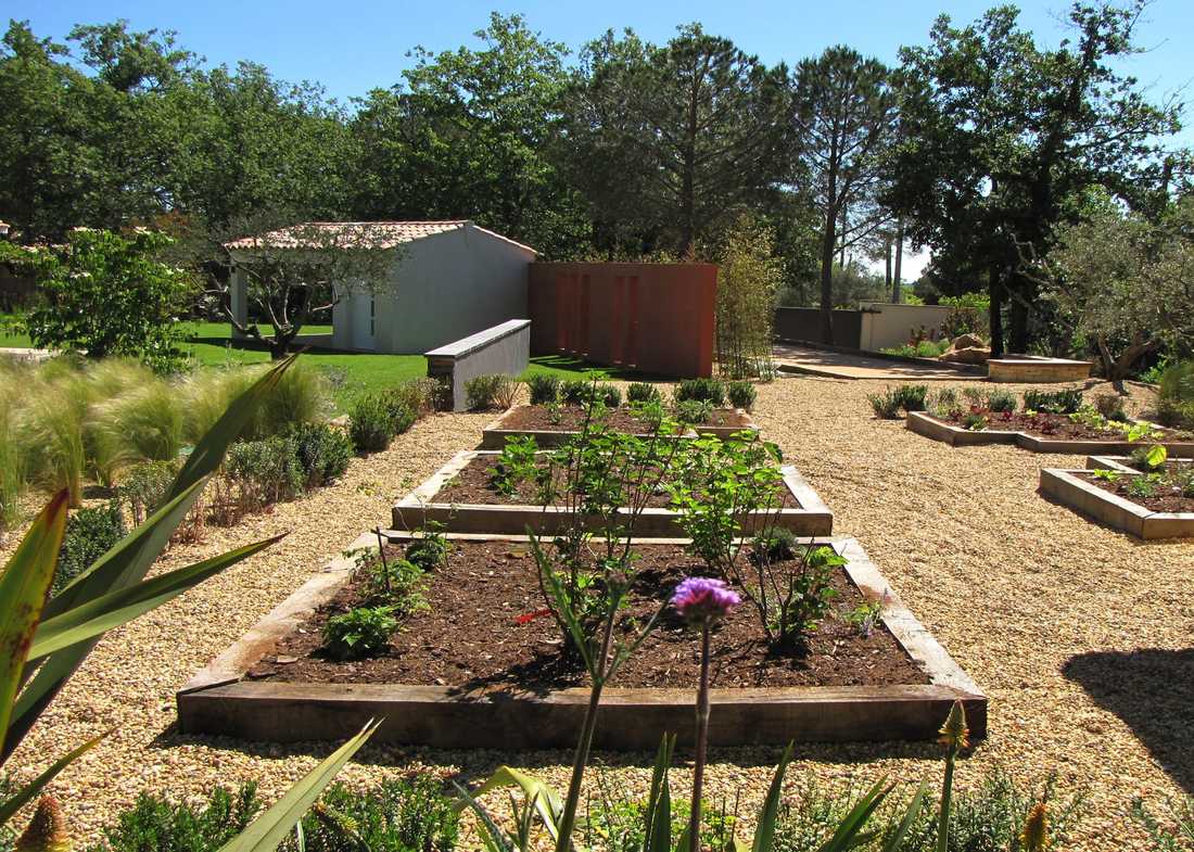 Potager méditerrannéen réalisé par un jardinier paysagiste à Aix-en-Provence