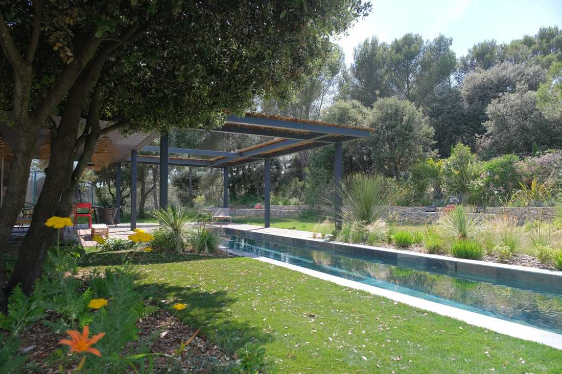 Jardin provençal avec couloir de nage et pergola