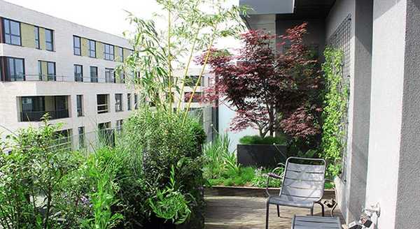 Aménagement de la terrasse d'un penthouse par un paysagiste à Aix-en-Provence